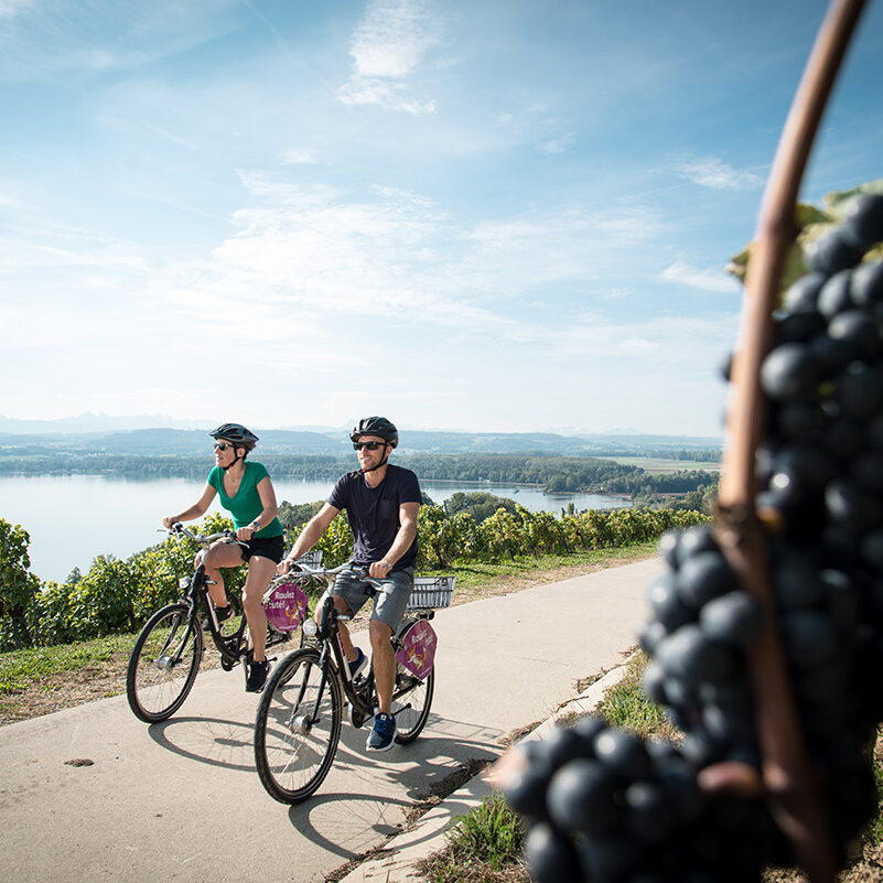 Annee_du_velo-a_propos Vully-les-Lacs Velo - N?470 Tour du lac de Morat SuisseMobile Photographer: David Carlier www.davidcarlierphotography.com
